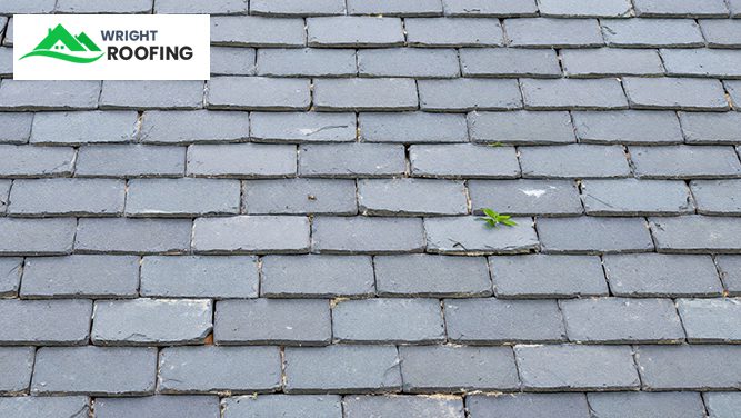 Close-up of fake slate roof tiles showing texture and design